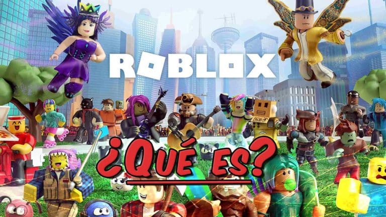 202162313355 1