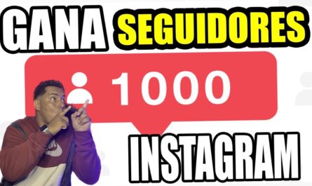 Como lograr 1000 seguidores en Instagram