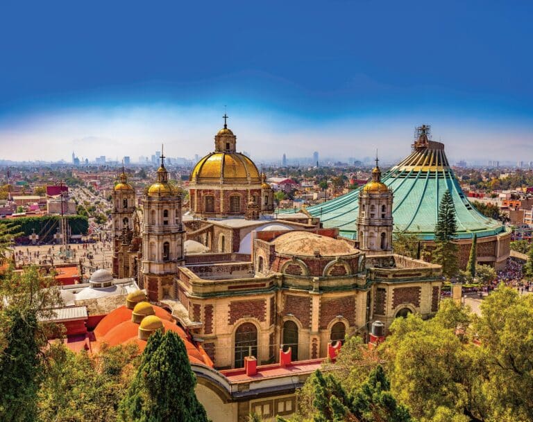 descubre como obtener el pase elite en free fire y disfrutar de una noche hipnotizante