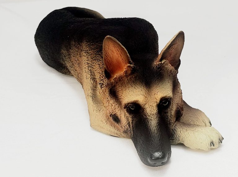 descubre la raza del perro de free fire que raza es y por que es tan popular