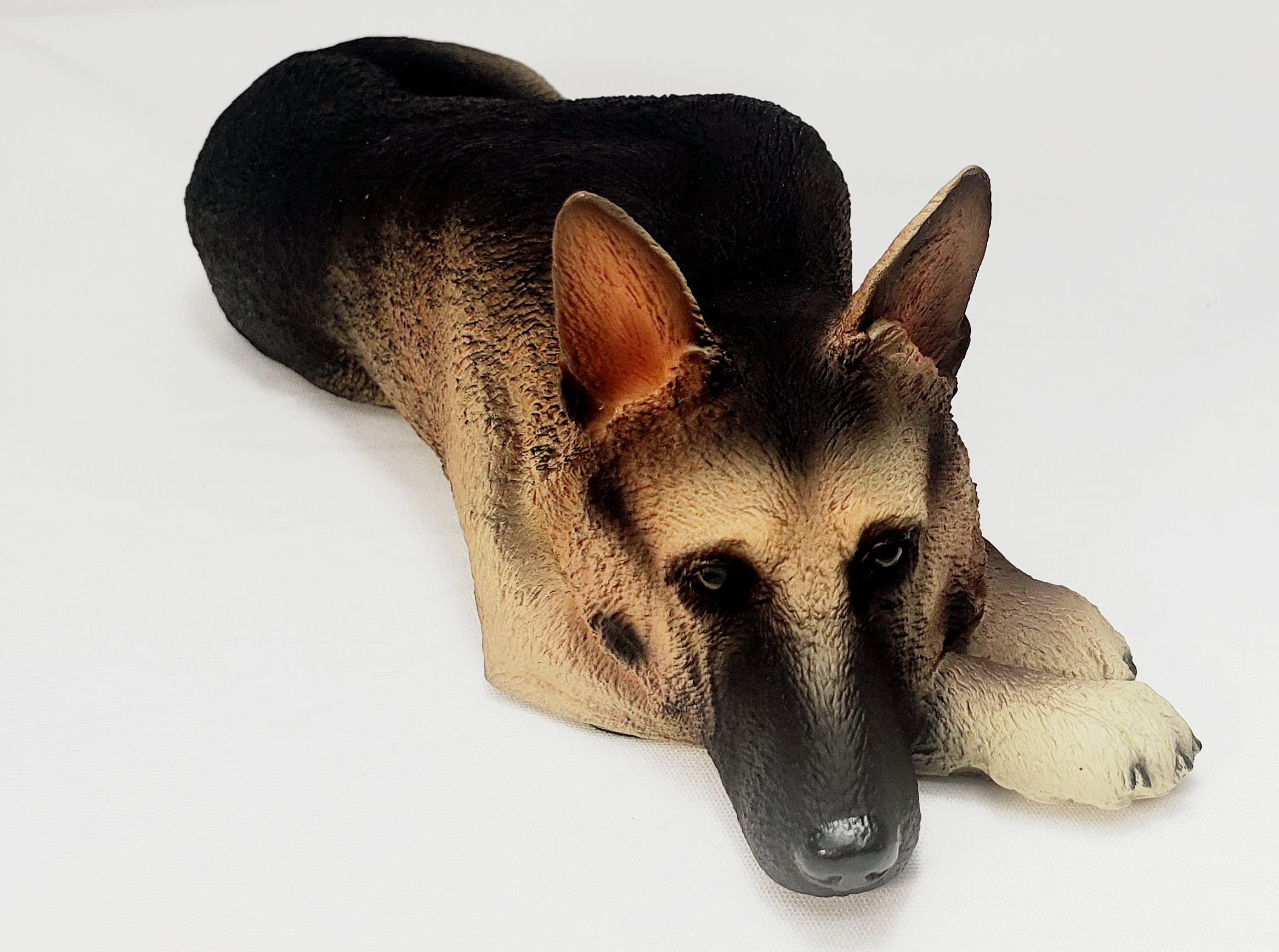 descubre la raza del perro de free fire que raza es y por que es tan popular