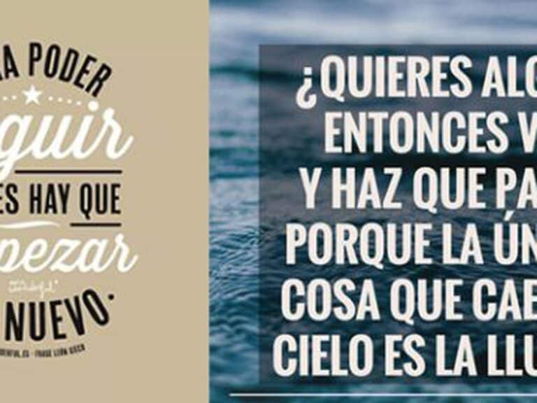 descubre las razones por las que la gente usa instagram una mirada en profundidad