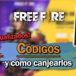 descubre las razones por las que los jugadores desaparecen en free fire investigacion detallada