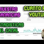 descubre los pasos para saber si has ganado dinero en youtube