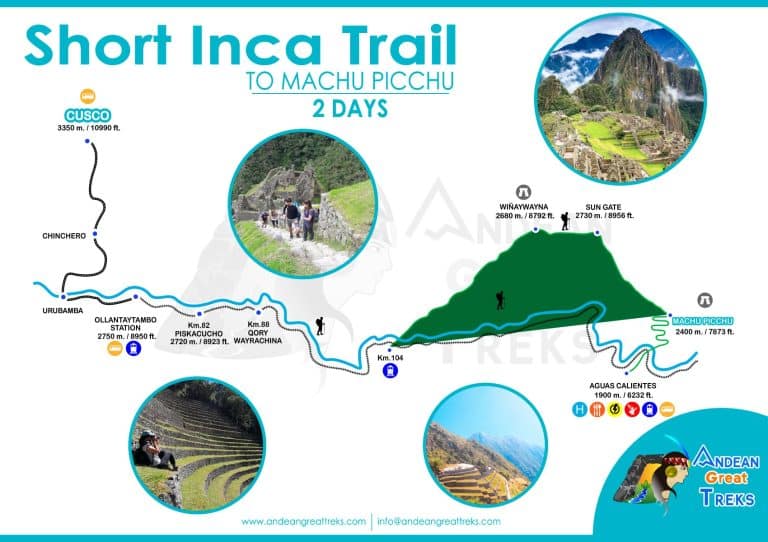 descubre todo sobre que es ser un gallito en free fire estrategias tips y mucho mas