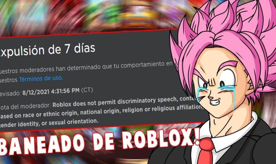 Guía completa: Qué hacer si te expulsan de Roblox por 1 día