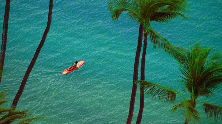 la mejor fiesta en la playa de free fire descubre como celebrar con estilo en este popular juego